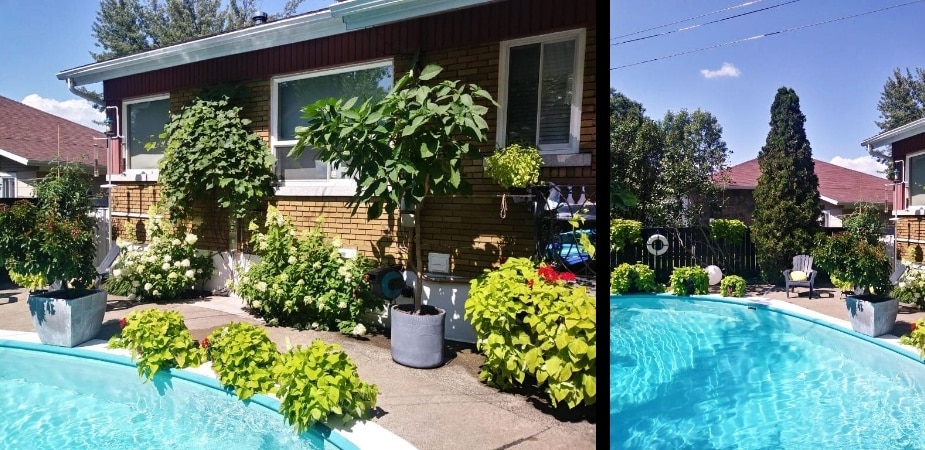 Chez Baza - Extérieur - arrière, piscine